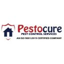 pestocure