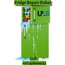fridgerepairuae